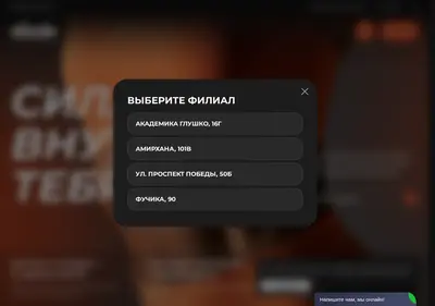 Снимок главной страницы akimbofit.ru