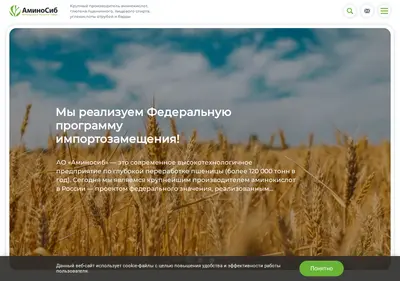 Снимок главной страницы aminosib.ru