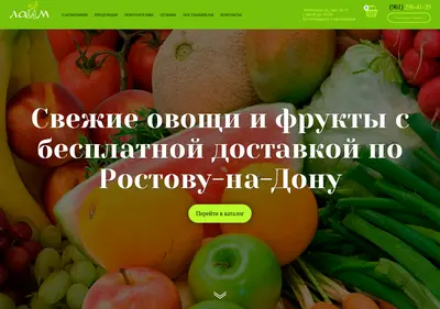Снимок главной страницы 1000fruktow.ru