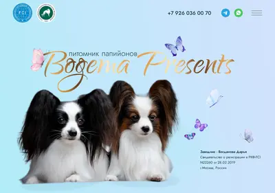 Снимок главной страницы bogemapresents.ru