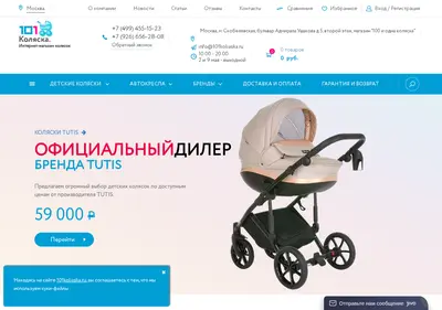 Снимок главной страницы 101koliaska.ru