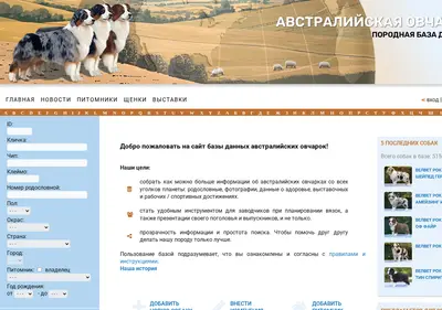 Снимок главной страницы aussie-info.ru