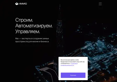 Снимок главной страницы liis.su