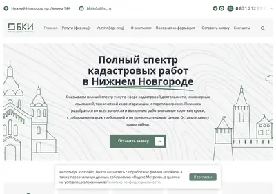 Снимок главной страницы bkinn.ru