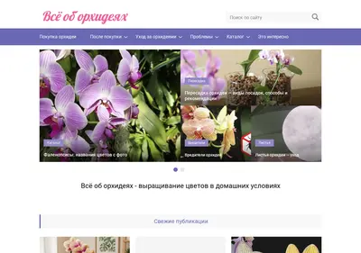 Снимок главной страницы 100orchids.ru