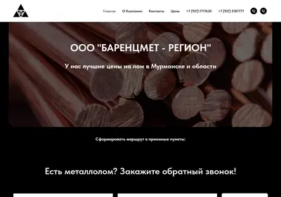 Снимок главной страницы bmr51.ru