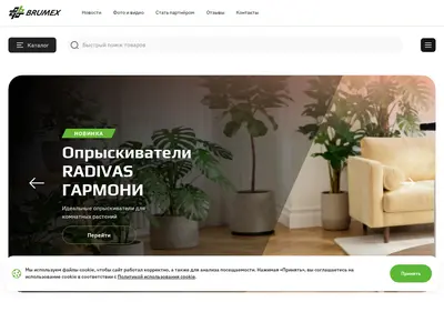 Снимок главной страницы brumex.ru