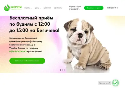 Снимок главной страницы bioritmclinic.ru