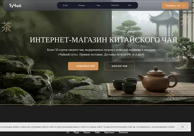 Снимок главной страницы chayniy-put.ru