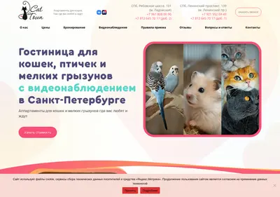 Снимок главной страницы cat-town.ru