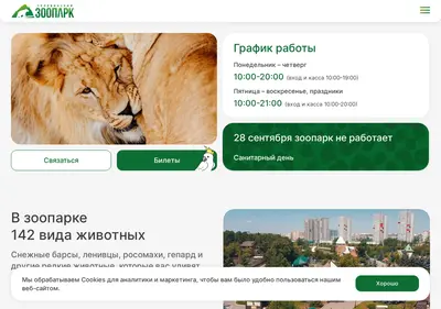 Снимок главной страницы chelzoo.ru