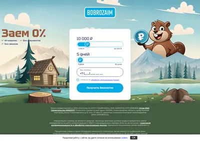 Снимок главной страницы bobrozaim.ru