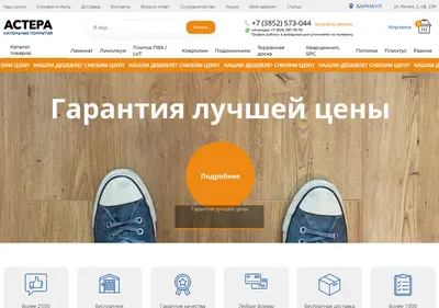 Снимок главной страницы astera-pol.ru