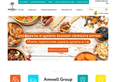 Снимок главной страницы amwellgroup.ru