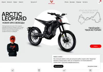 Снимок главной страницы arcticleopard-bike.ru