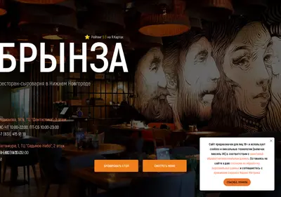 Снимок главной страницы brynzarest.ru