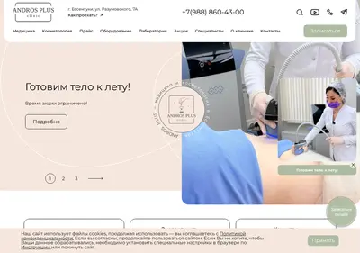 Снимок главной страницы andros-plus.ru