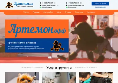 Снимок главной страницы artemonsalon.ru