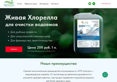 Снимок главной страницы algo-aqua.ru
