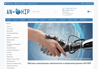 Снимок главной страницы an-chip.ru