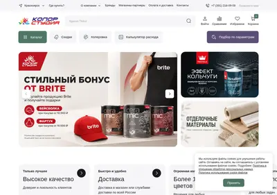 Снимок главной страницы color-studio.ru