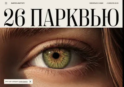 Снимок главной страницы 26parkview.ru