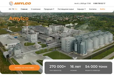 Снимок главной страницы amylco.ru