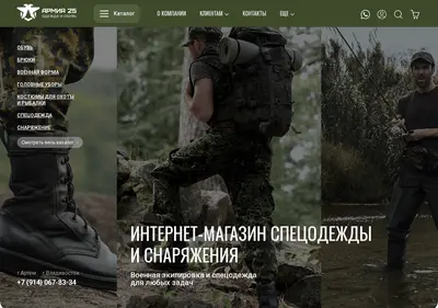 Снимок главной страницы army25.ru