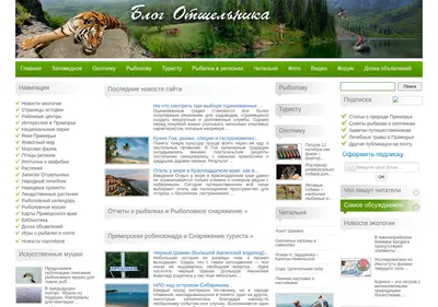 Снимок главной страницы blogotshelnika.ru