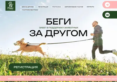 Снимок главной страницы begizadrugom.ru