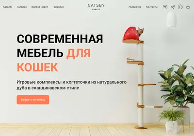 Снимок главной страницы catsby-family.ru