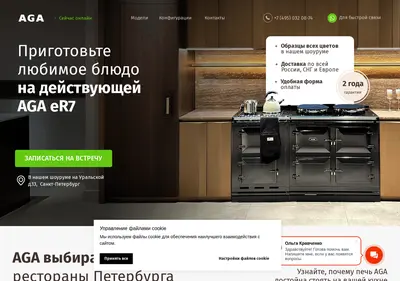 Снимок главной страницы aga-russia.ru