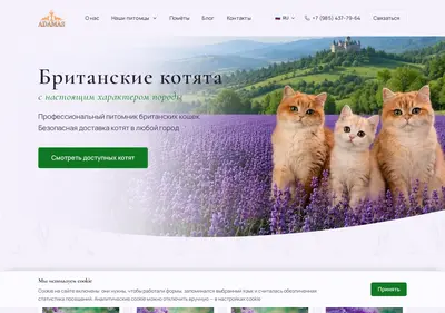 Снимок главной страницы britishcattery.ru