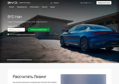 Снимок главной страницы byd-voronezh.ru