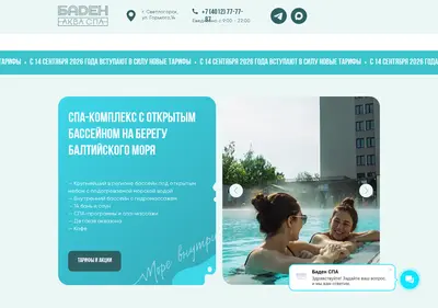 Снимок главной страницы baden39.ru