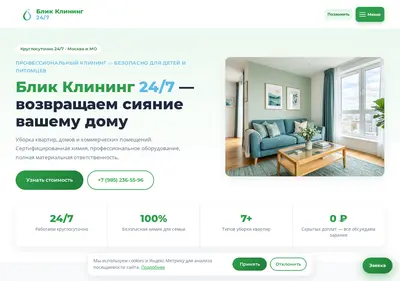 Снимок главной страницы blik-cleaning24.ru