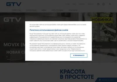 Снимок главной страницы gtv-rus.com.ru