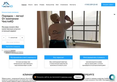 Снимок главной страницы chistiko.ru