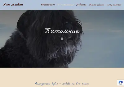 Снимок главной страницы bouvierru.ru