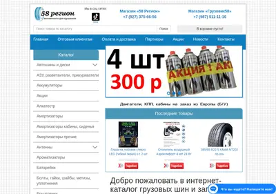 Снимок главной страницы 58-region.ru