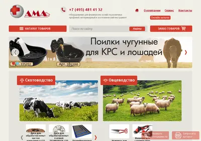 Снимок главной страницы amaplus.ru