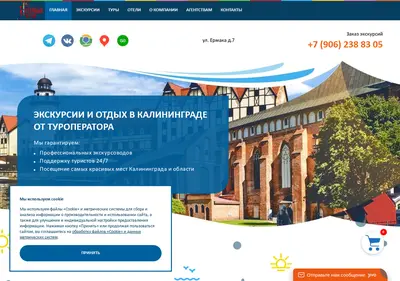 Снимок главной страницы amber-region.ru