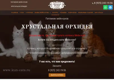Снимок главной страницы cats-xo.ru