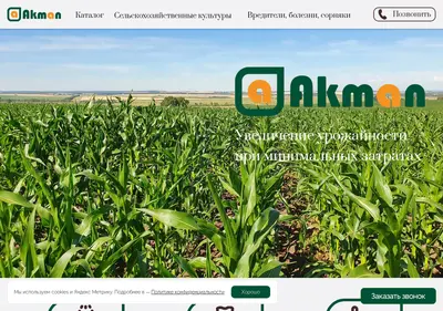 Снимок главной страницы akman.su