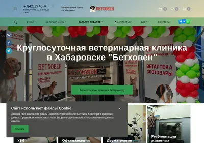 Снимок главной страницы betvet27.ru