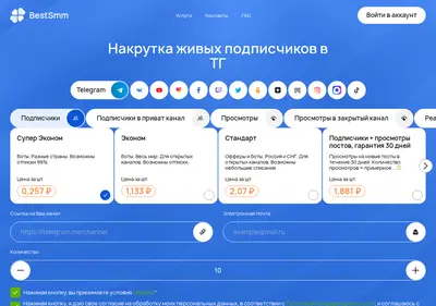 Снимок главной страницы bestsmm.ru