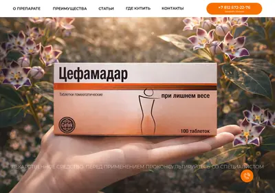 Снимок главной страницы cefamadar.ru