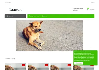 Снимок главной страницы talion.su