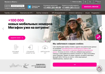 Снимок главной страницы alloincognito.ru