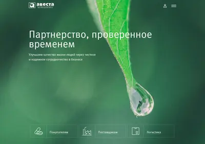 Снимок главной страницы avgr.su